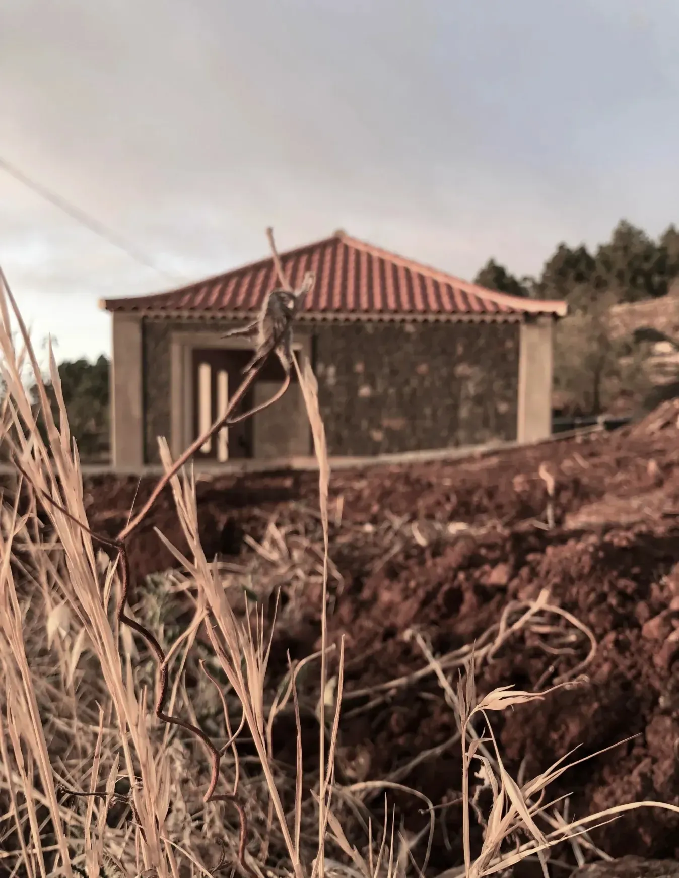 vivienda El Calvario I — imagen 4